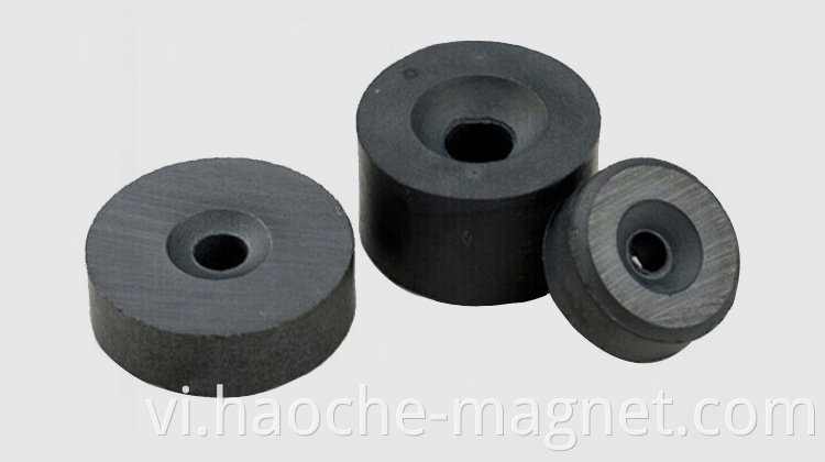 Radial 12 pole ferrite nam châm cho bơm nước Bán buôn nam châm vĩnh cửu